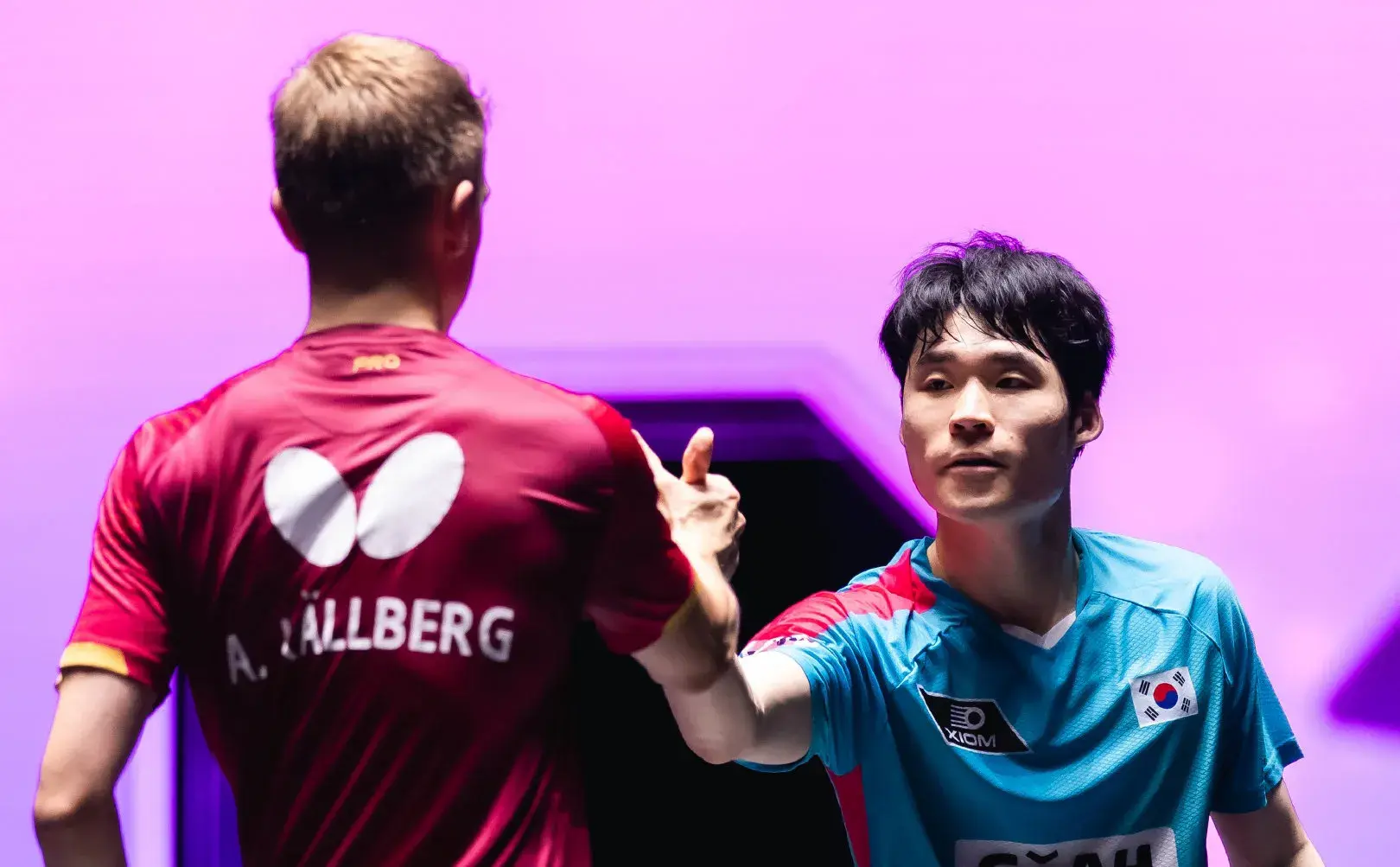 可是他随后, 陈幸同也强, amp 可是他随后, 陈幸同也强, amp