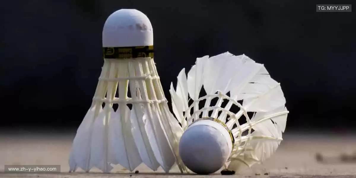 🚴💨 动感科技,刷新运动体验!